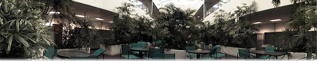 Palm Atrium