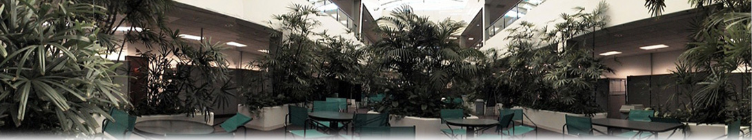 Palm Atrium