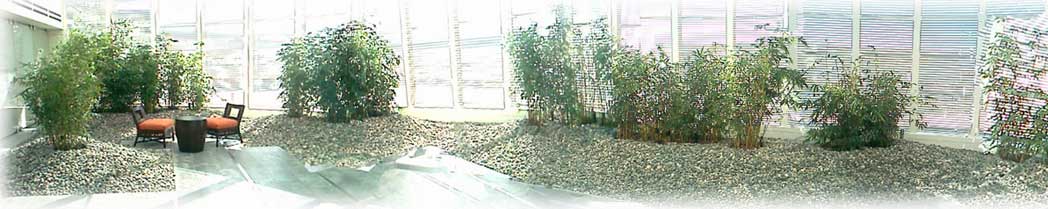 Lease Bamboo Zen Garden